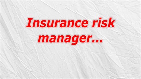 insurance risk manager codycross